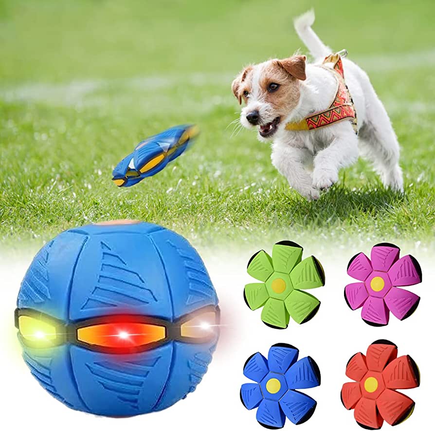 Pawmerv™ Dog Frisbee
