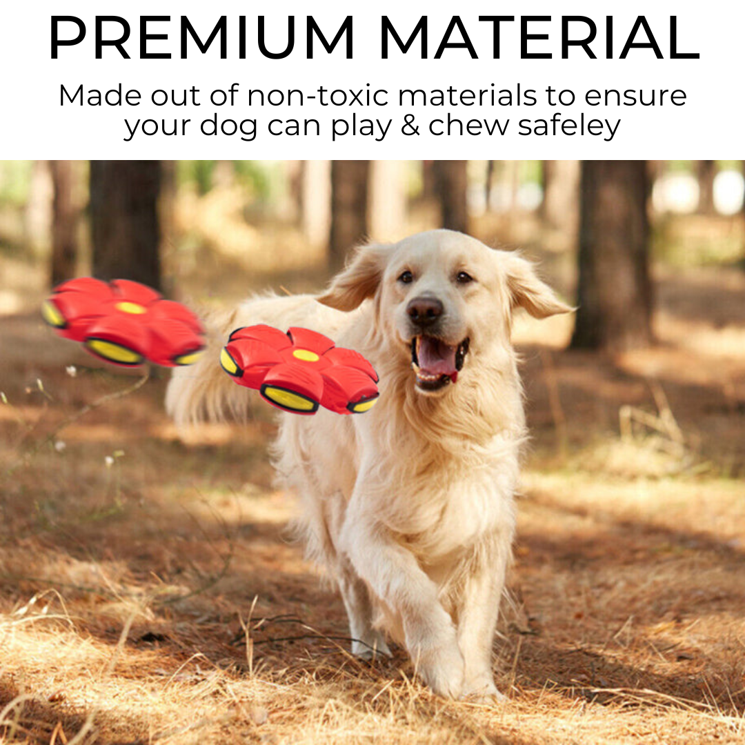 Pawmerv™ Dog Frisbee