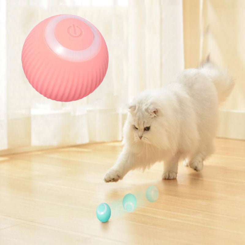 Pawmerv  Interactive Ball